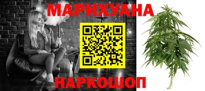 прущие грибы Владикавказ
