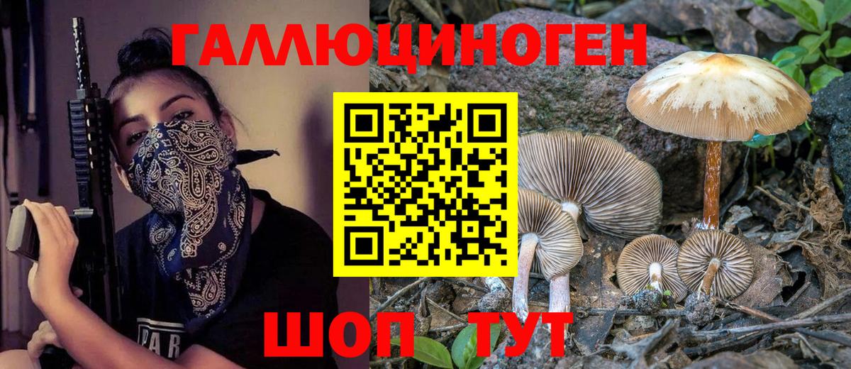 Псилоцибиновые грибы Cubensis Симферополь