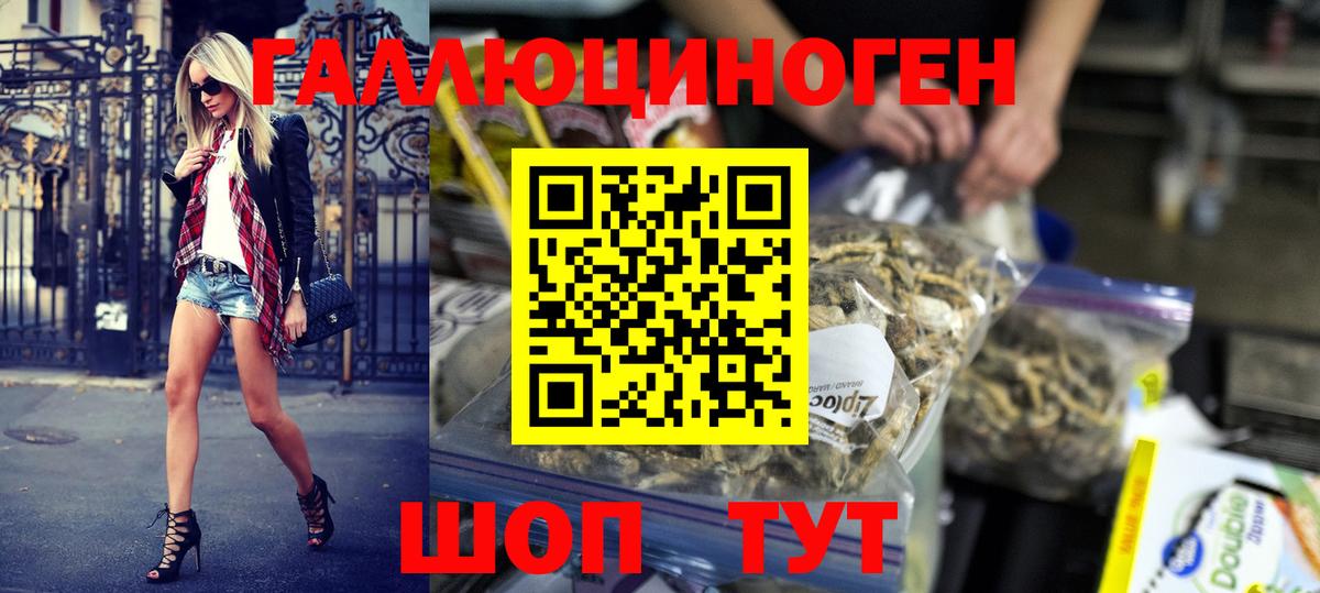 Псилоцибиновые грибы Psilocybine cubensis  Псилоцибиновые грибы мицелий  Вход с VPN  Симферополь 